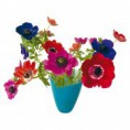 flat flower large eur 18,50 incl. btw